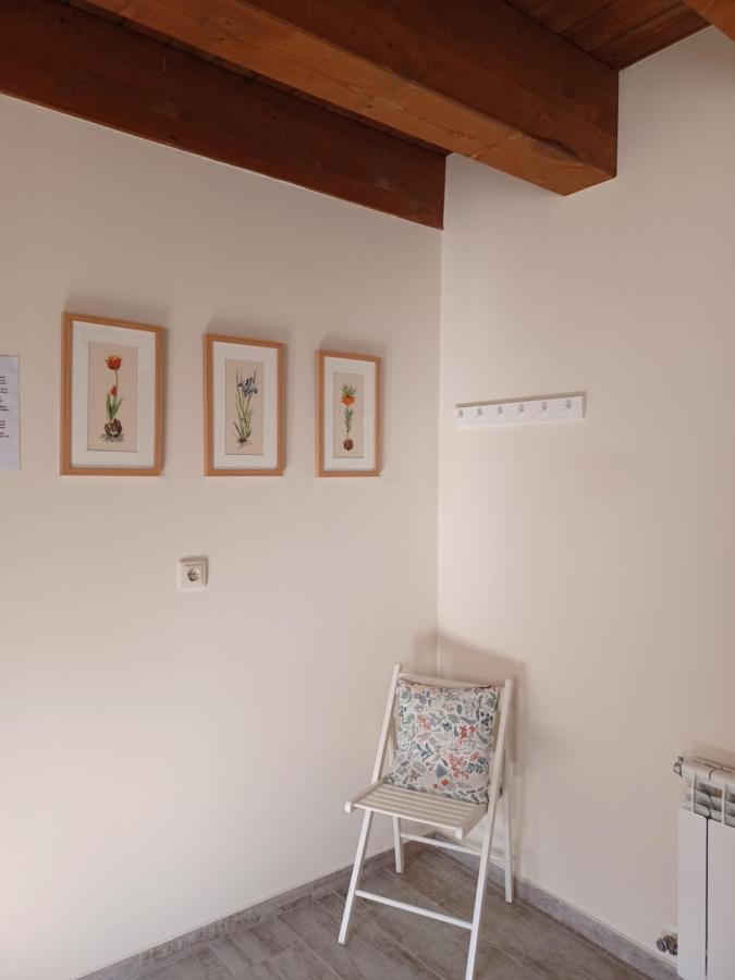Casa Perdigueira Hotel Castromayor Luaran gambar
