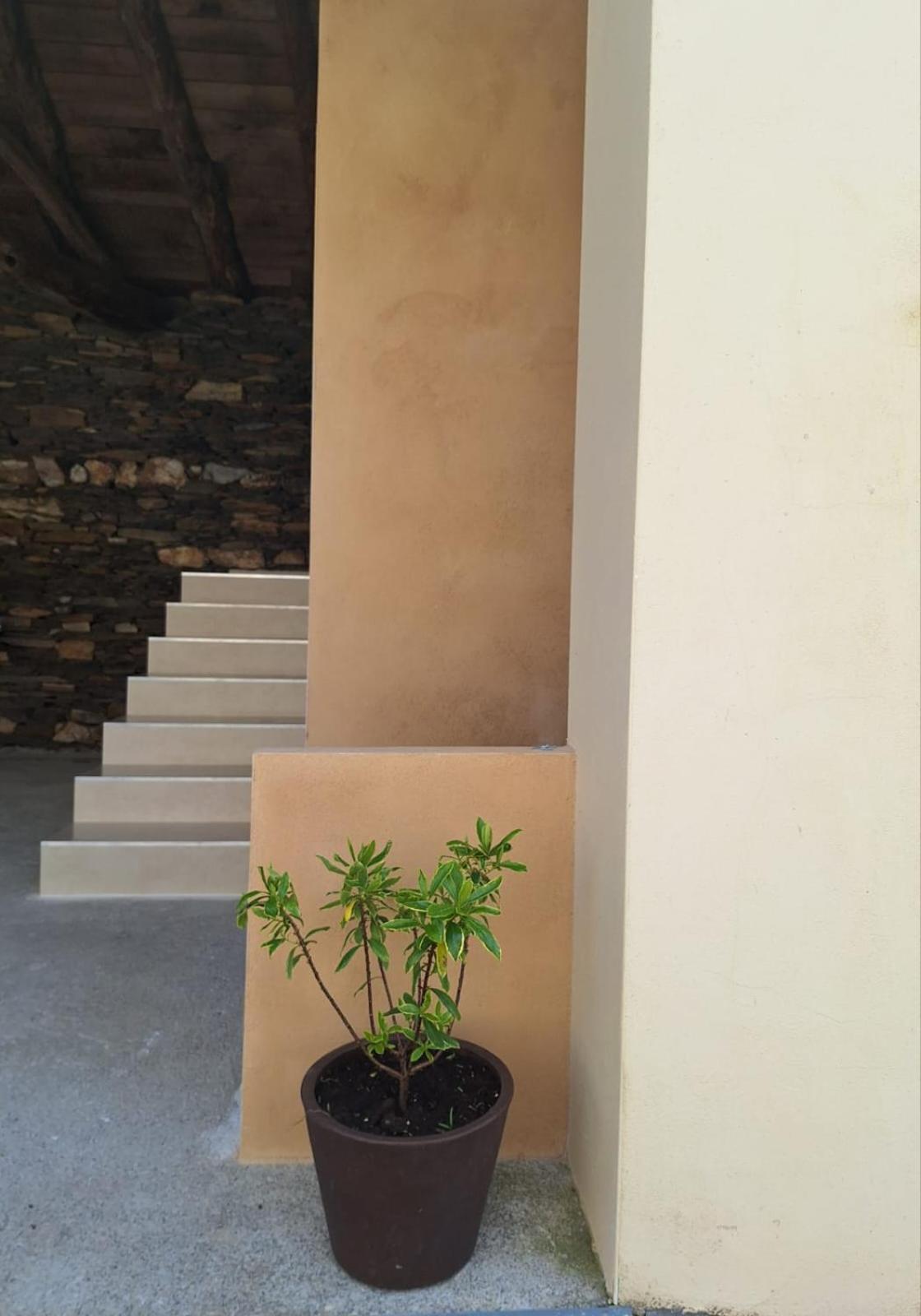 Casa Perdigueira Hotel Castromayor Luaran gambar